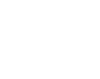 ELEKTRYCERZ logo